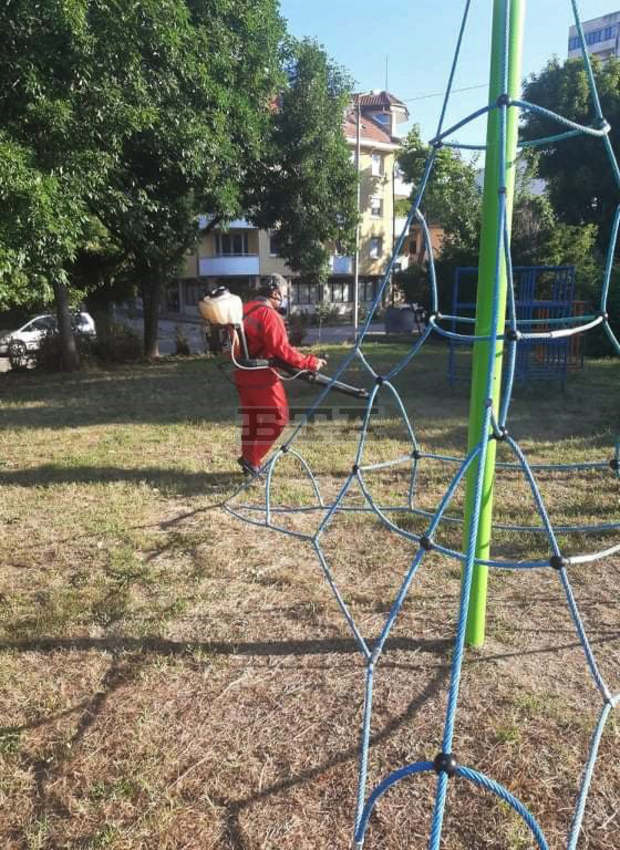 Във Видин и общината се извършва обработки срещу комари, кърлежи и бълхи