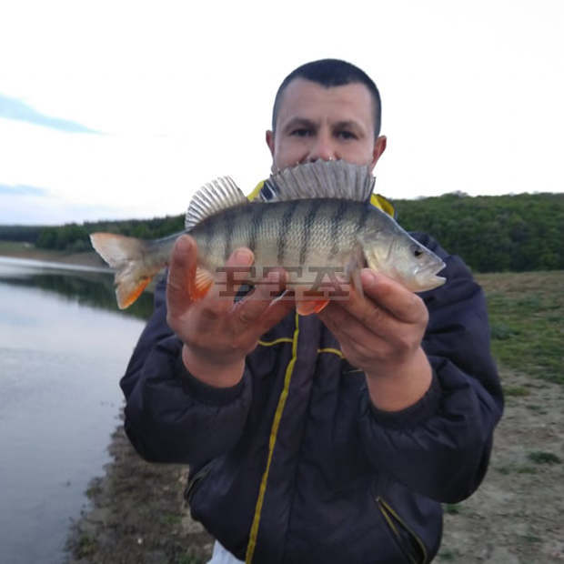 Близо 40 метра бракониерски мрежи са извадили доброволци на ЦРОО от водите на язовир Красноселци