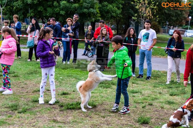 Празник за деца и кучета ще има в Деня на Стара Загора