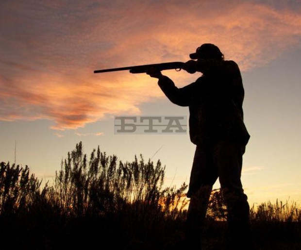 В Кърджали е заведено досъдебно производство за незаконен лов на сърна