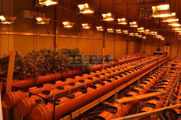 Разкрита е голяма нарколаборатория при специализирана полицейска акция в Горна Оряховица