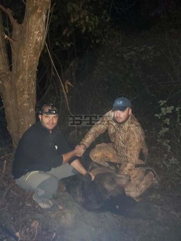 Мечок е бил уловен в габровски квартал със специални безопасни капани