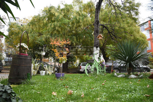 Кметът на Пазарджик отличи граждани, полагащи грижи за междублоковите градинки