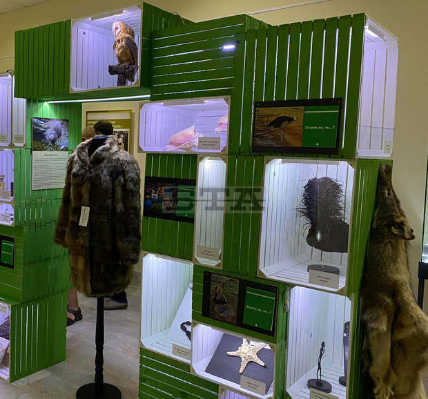 Русенската изложба "Природа в риск" ще гостува на музея в Плевен от 22 октомври