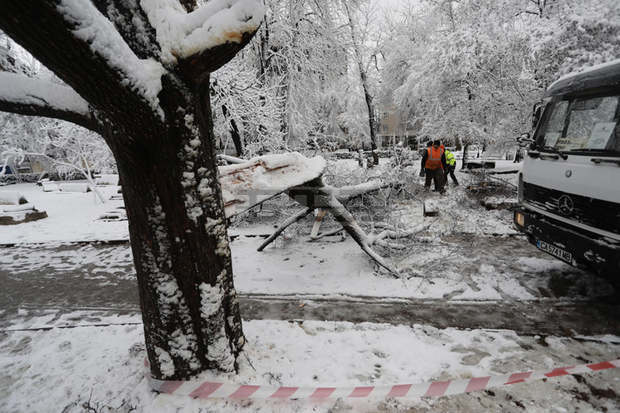 Аварийните екипи на Столичната община премахват счупени клони и дървета в столицата