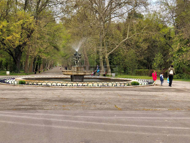 През първия ден от свободното придвижване в градския парк в Ямбол не са констатирани сериозни нарушения През първия ден от свободното придвижване в градския парк в Ямбол не са констатирани сериозни нарушения