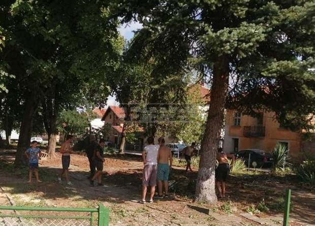 С проект за близо 10 хил. лв. преобразяват парка в ловешкото село Лисец