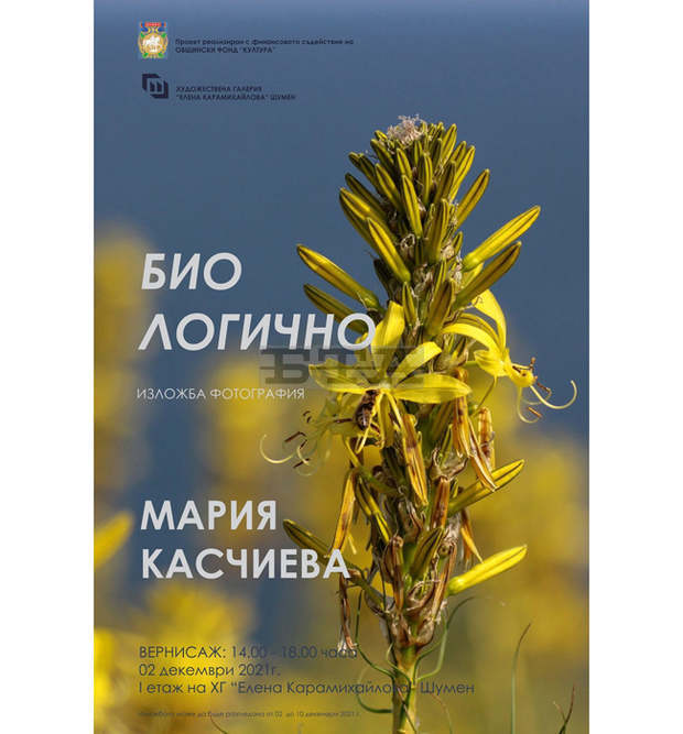Мария Касчиева представя в Шумен фотографска изложба от работата си по проект за възстановителни дейности в природно местообитание на Северното Черноморие