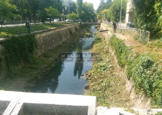 В Плевен започна почистване на речните корита с река Тученица В Плевен започна почистване на речните корита с река Тученица