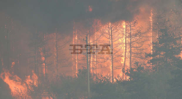 Нови 20 пожара в Хасковска област усложняват обстановката