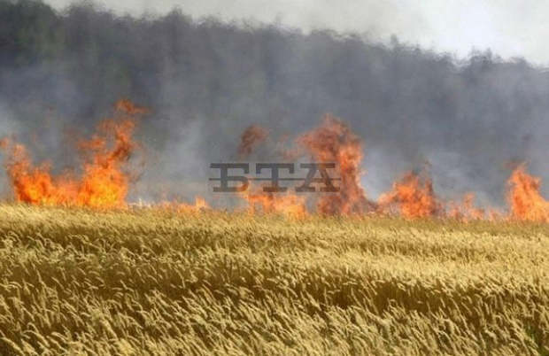 При пожар до свиленградското село Левка са изгорели 15 дка житни култури При пожар до свиленградското село Левка са изгорели 15 дка житни култури
