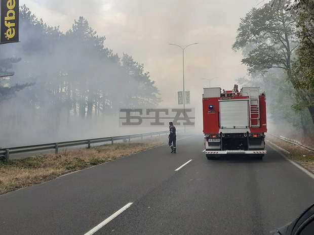 Пожар в района на кърджалийското село Калинка, на площ от 400 декара, гасят пожарникари и горски служители