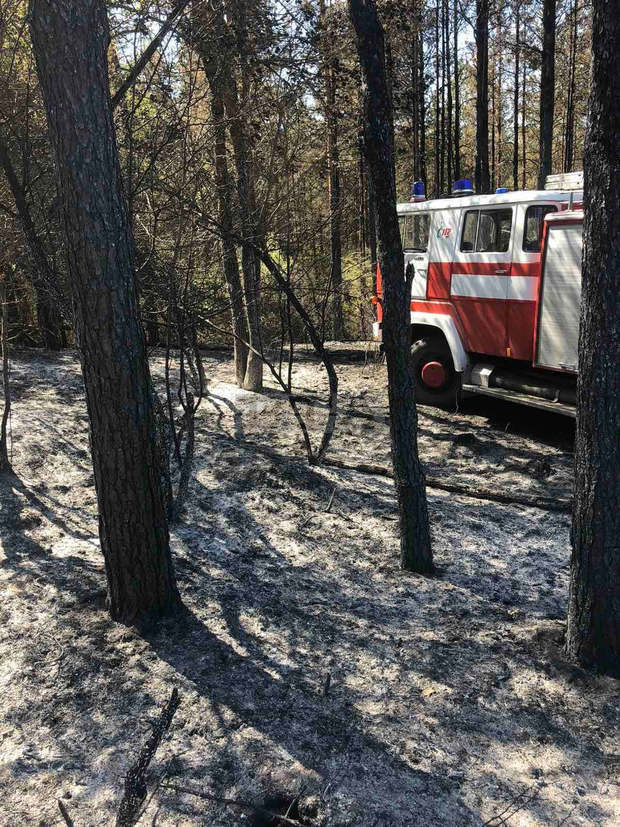 Потушен е пожарът в гората край омуртагското село Българаново