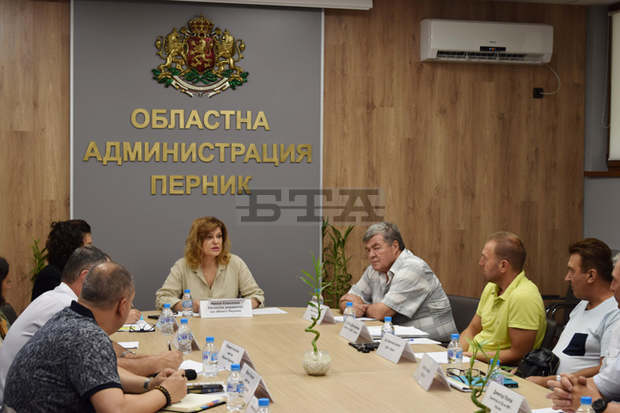 В Пернишка област започва клане на прасета тип "заден двор" В Пернишка област започва клане на прасета тип "заден двор"