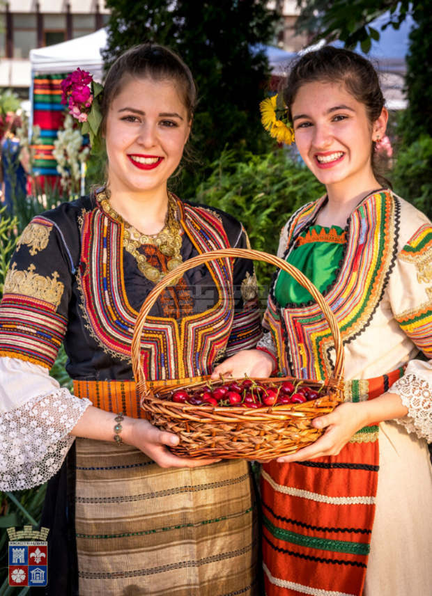Изложения на череши, туристически обиколки, домашни храни и художествен проект ще има на предстоящото издание на Празника на черешата в Кюстендил