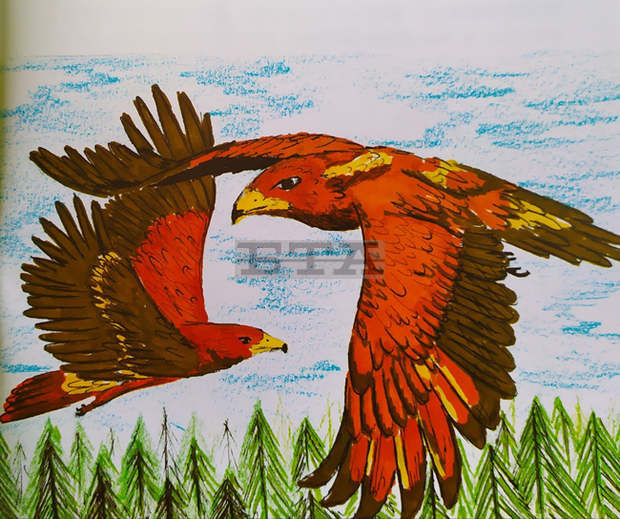 Експерти от Североизточното държавно предприятие издадоха детска книжка "Приказки от гнездото"