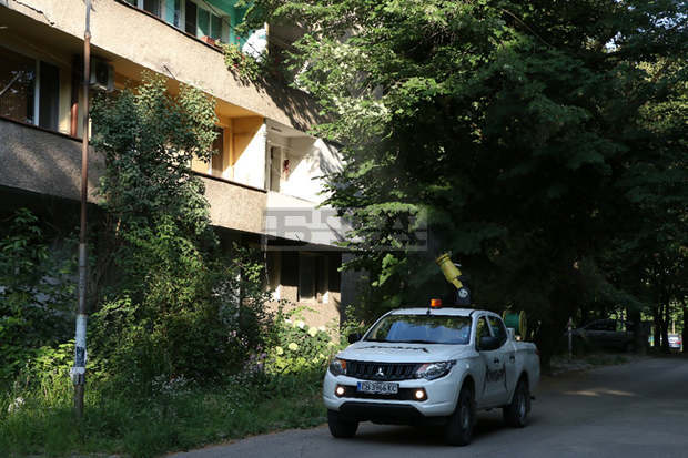Във Видин започна дезинсекция на кварталите срещу бяла американска пеперуда заради увеличена популация Във Видин започна дезинсекция на кварталите срещу бяла американска пеперуда заради увеличена популация