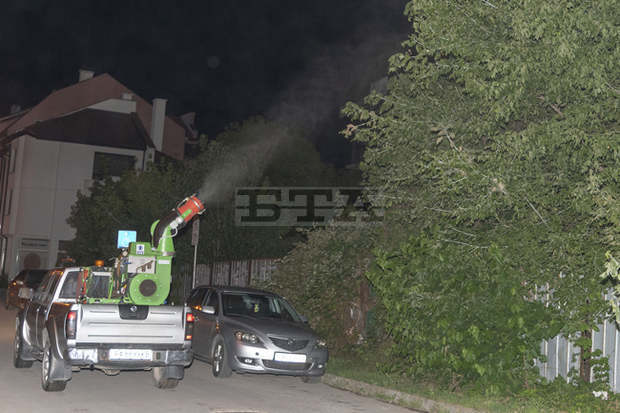 В Пазарджик продължава обработката на дърветата срещу вредители В Пазарджик продължава обработката на дърветата срещу вредители