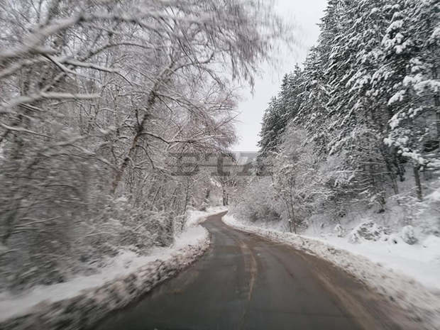 В планината в Габровско за часове снежната покривка достигна 12 сантиметра