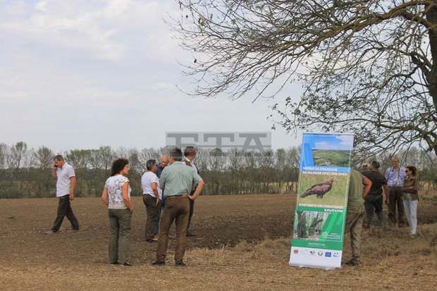И горските пояси в Добруджа съхнат, започва подмяна на влаголюбивите видове