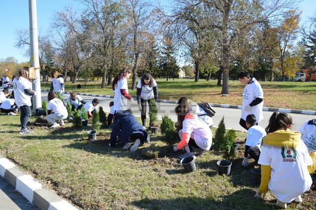 В Пордим засадиха 240 смарагдови туи за празника на града