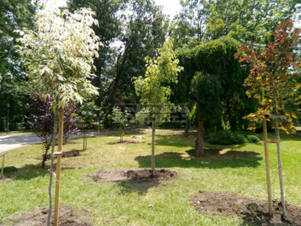 Столичната община получи дарение от дървета и храсти за Южния парк