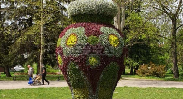 Трийсет хиляди цветя красят Вазата в Парка на младежта в Русе