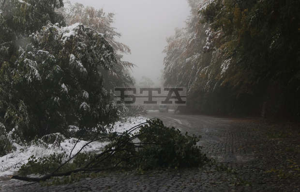 Временно се затварят за движение планинските пътища "Драгалевци - Алеко" и "Бояна - Златни мостове"