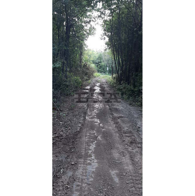 Приключи отводняването и заравняването на част от горските пътища в Природния парк "Шуменско плато" Приключи отводняването и заравняването на част от горските пътища в Природния парк "Шуменско плато"