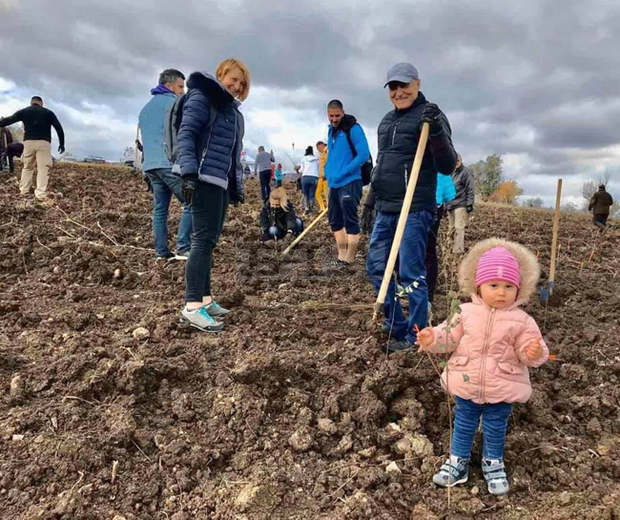 Общо 4500 фиданки в Новата гора на София са засадени през втория уикенд от залесяването