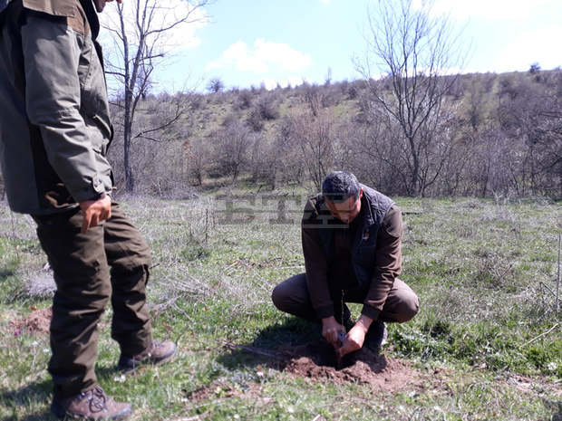 Нови гори се създават в Паламара