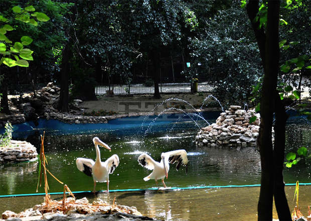 Ремонтират спасителния център в зоопарка във Варна
