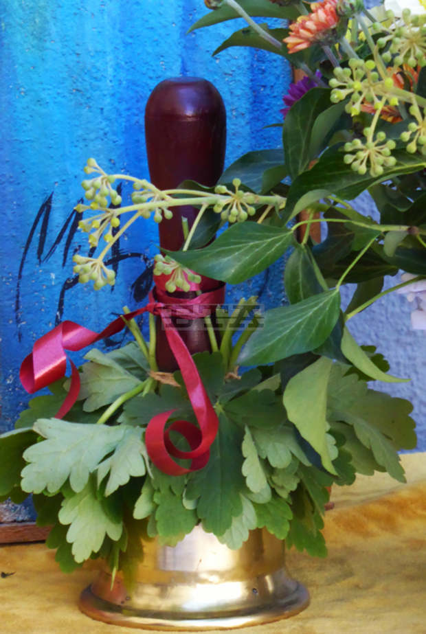 Учебната година започва в 44 училища и 24 детски градини в Силистренско