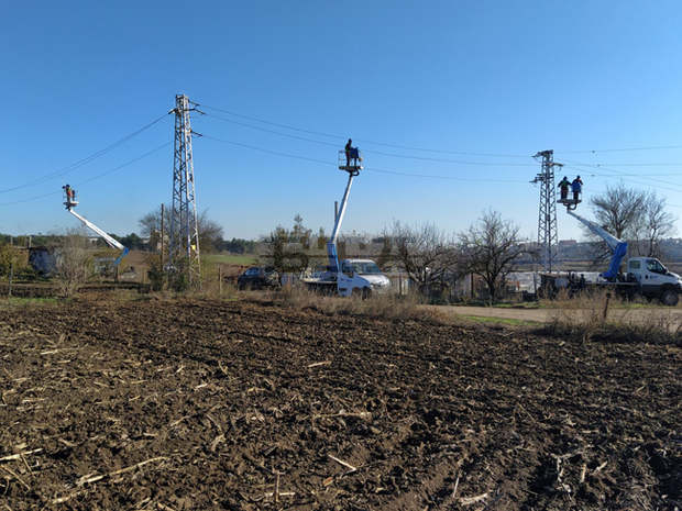 В Добричка област са инвестирани 400 000 лева в птицезащитни устройства и обезопасяване на електропроводи