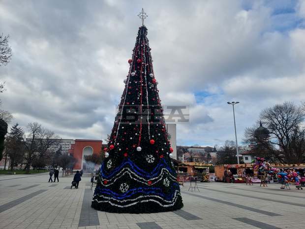 Десетметрова коледна елха допълва празничната атмосфера в центъра на Плевен