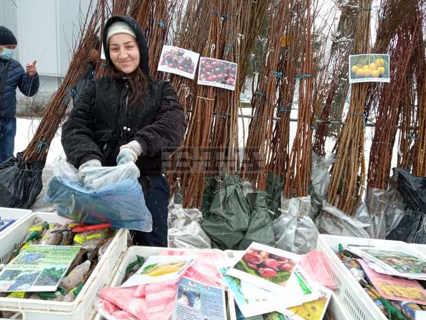 Борсата за семена и посадъчен материал в Добрич отвори врати при по-високи цени на земеделската продукция Борсата за семена и посадъчен материал в Добрич отвори врати при по-високи цени на земеделската продукция