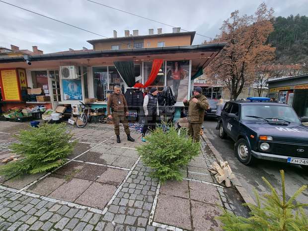 Слаб интерес към коледните елхи отчитат от Регионалната дирекция по горите в Кюстендил