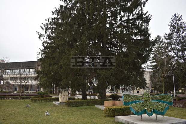 Увредени са декоративни осветителни тела до Часовниковата кула в Разград Увредени са декоративни осветителни тела до Часовниковата кула в Разград