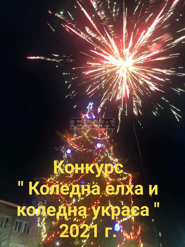Конкурс за най-красива елха и коледна украса обяви най-голямото кметство в Перник