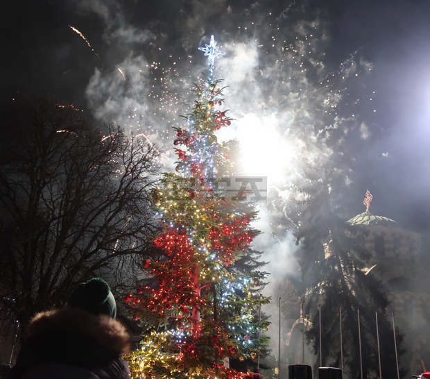 Градската коледна елха на Плевен  заблестя тази вечер в хиляди многоцветни светлини