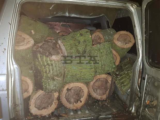 Незаконно добита дървесина и моторни триони са конфискували служителите на СИДП Незаконно добита дървесина и моторни триони са конфискували служителите на СИДП