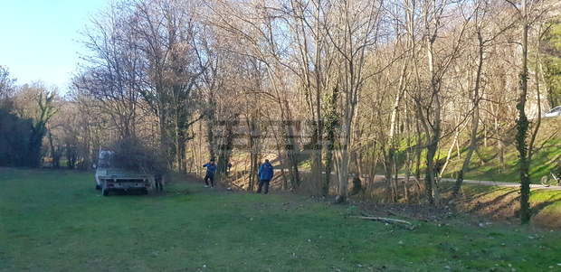 В плевенския парк "Кайлъка" продължава почистването на растителността