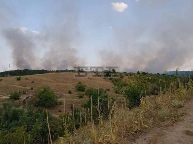 Овладян е пожарът край хасковското село Брягово