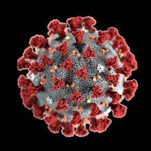 Жена на 47 години от Дряново е заразена с коронавирус