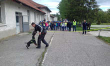 Деца от Вършец гостуваха в базата за полицейски следови кучета в Берковица и наблюдаваха демонстрации