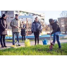 Любител овощар подари "дървото на живота" на Мездра, което ще краси новата пешеходна алея в града