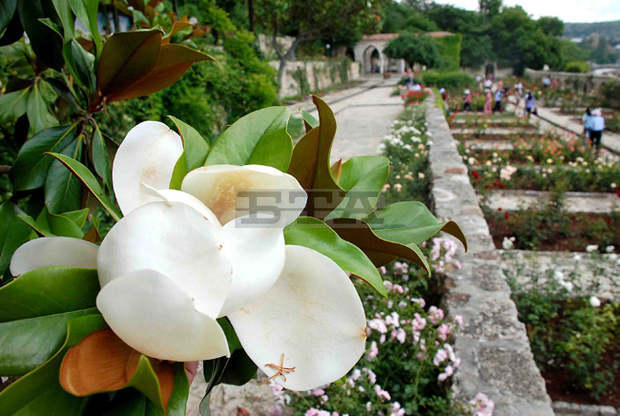 Университетската градина в Балчик постави началото на ботаническа галерия на открито