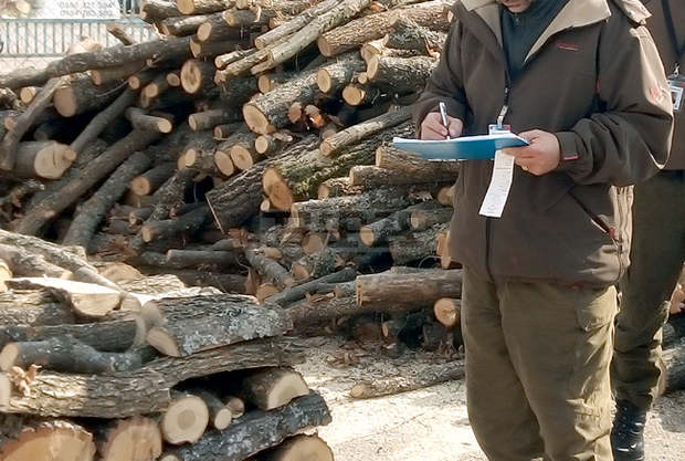 Служителите на три горски стопанства в област Търговище са извършили 366 проверки за седмица
