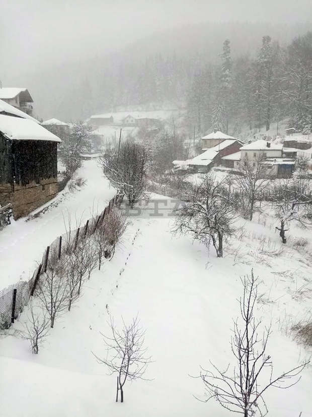 Всички пътища в община Лъки са проходими при зимна обстановка, най-много сняг има в село Манастир - 50 см