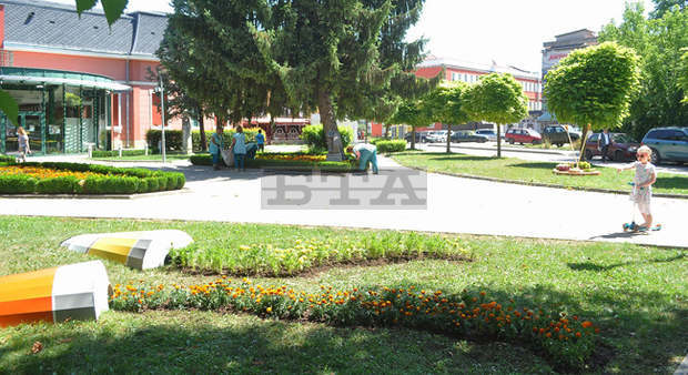 Нови кошчета за смет поставят в Разград; завършва и лятното зацветяване
